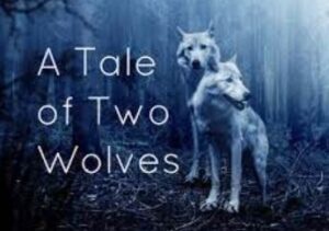 Two wolves cherokee story